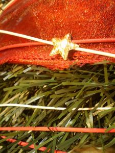 v�no�n� stromek, v�noce